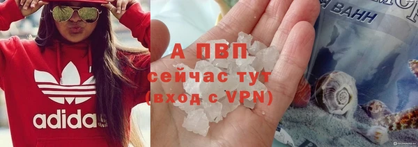 apvp Иннополис