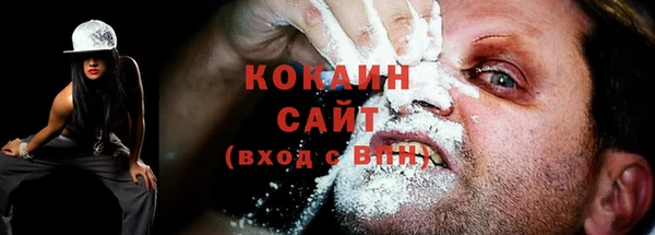 дмт Инсар
