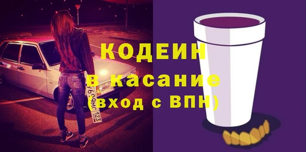 apvp Иннополис