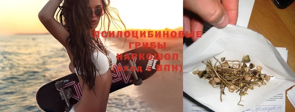 apvp Иннополис