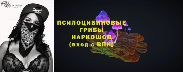 дмт Инсар