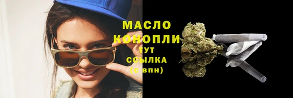 дмт Инсар