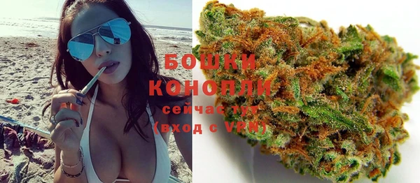 дмт Инсар