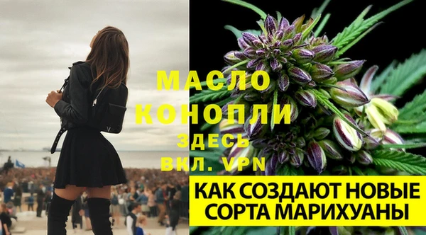 дмт Инсар