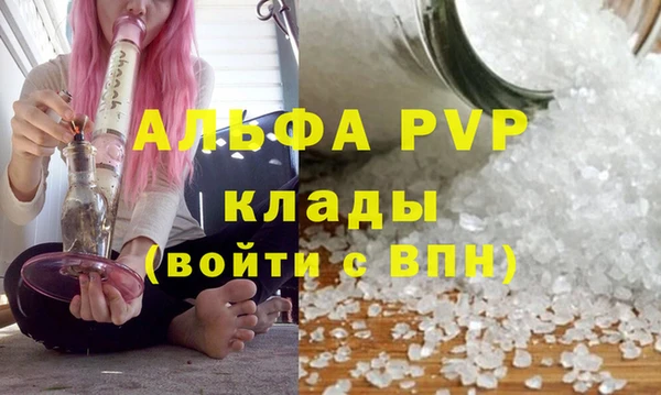 apvp Иннополис