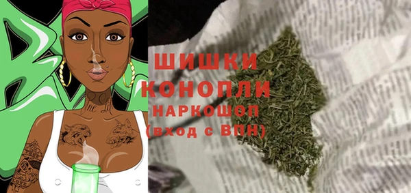 apvp Иннополис
