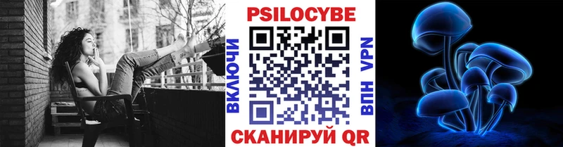 нарко площадка наркотические препараты  KRAKEN маркетплейс  Пушкино  Псилоцибиновые грибы прущие грибы 